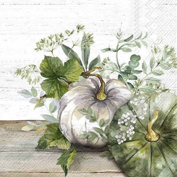 ihr Luncheon Napkin 1012260  Green and White Pumpkin - Cream