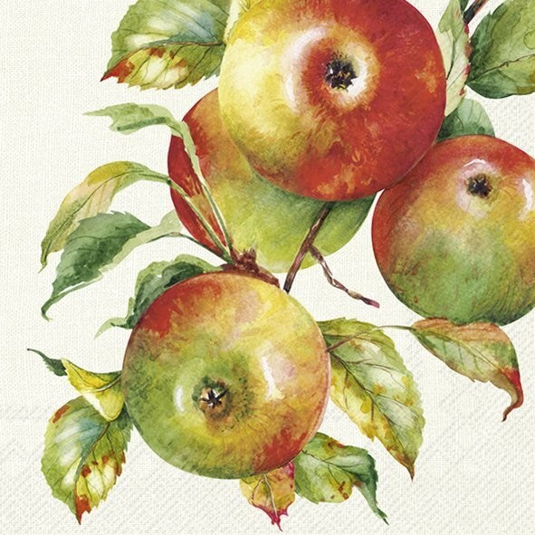 ihr Luncheon Napkin 1052460  Home Grown Apples - Cream