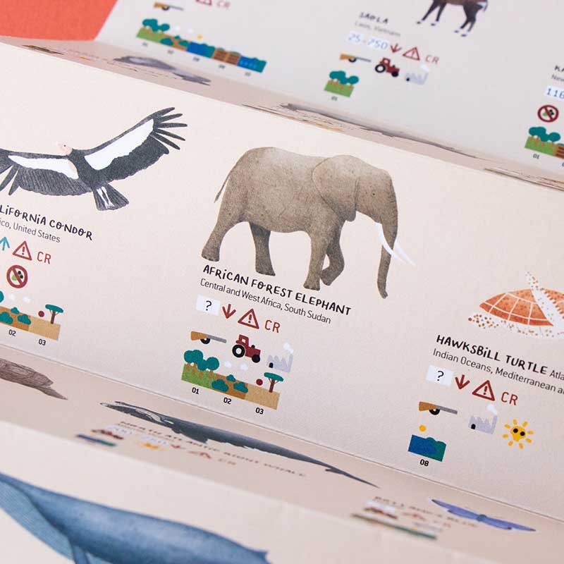 Londji Puzzle  PZ604U  Life - A Puzzle of Threatened Animals in the World