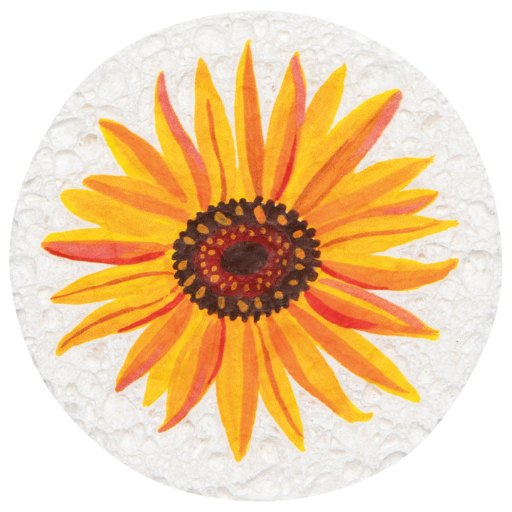 Danica Compostable Sponge  NBU4441D  Assorted