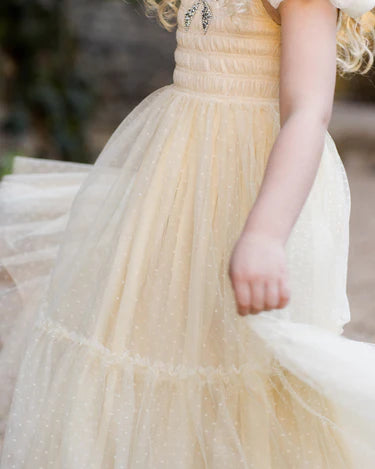 Noralee Girls Clara Dress    NL124MSCH   Champagne **