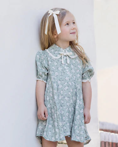 Noralee Girls Sara Dress   NL128TANA    Blossom