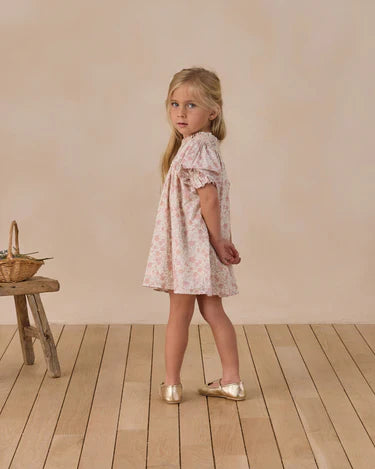Noralee Baby Girl Maddie Dress   NL011MERD    Pastel Garden