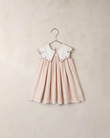 Noralee Baby Girl Florence Dress   NL127BERD   Petal