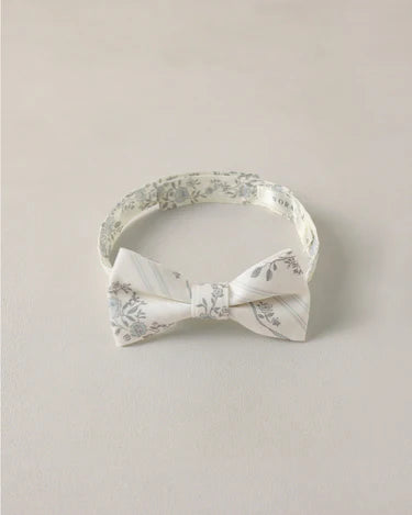 Noralee Bow Tie   NLA009HIRS   French Floral Stripe