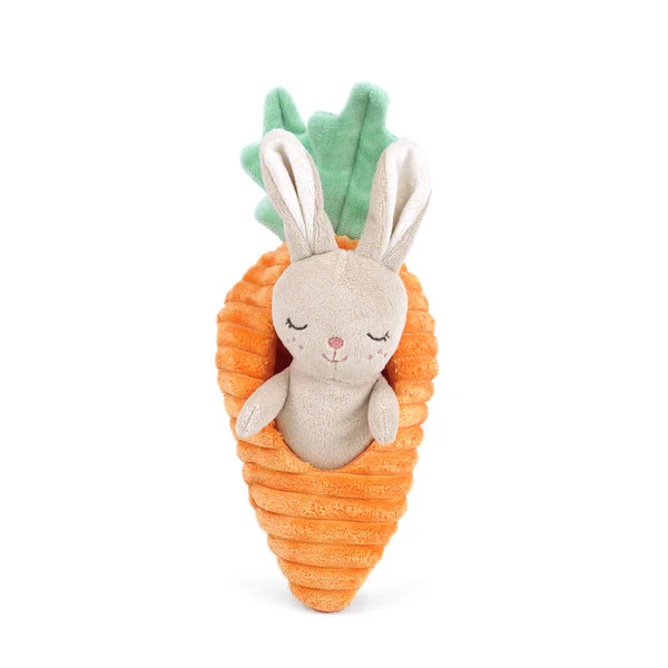 Mon Ami Bunny In Carrot Activity Toy