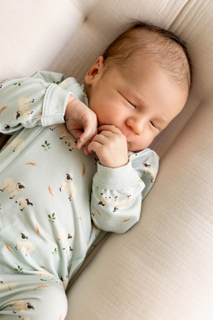Coccoli Baby Footed Sleeper   PZM5922-330