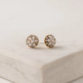 Lovers Tempo Poppy Stud Earrings Creme