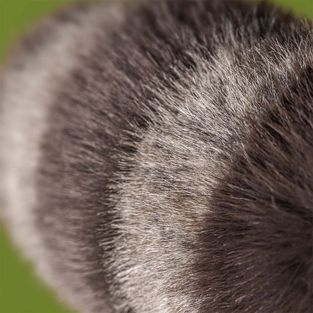 Jellycat Trixiwoo Raccoon  RA3CN