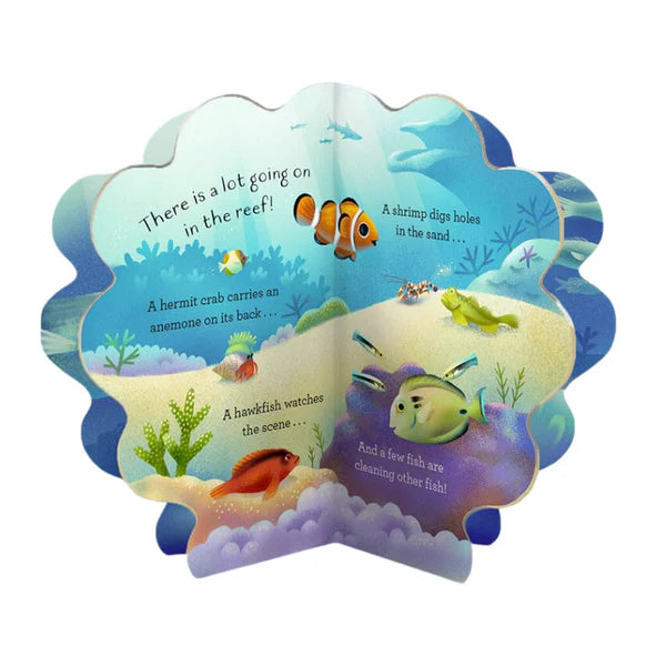 Hello Clownfish   by Hannah Rogge