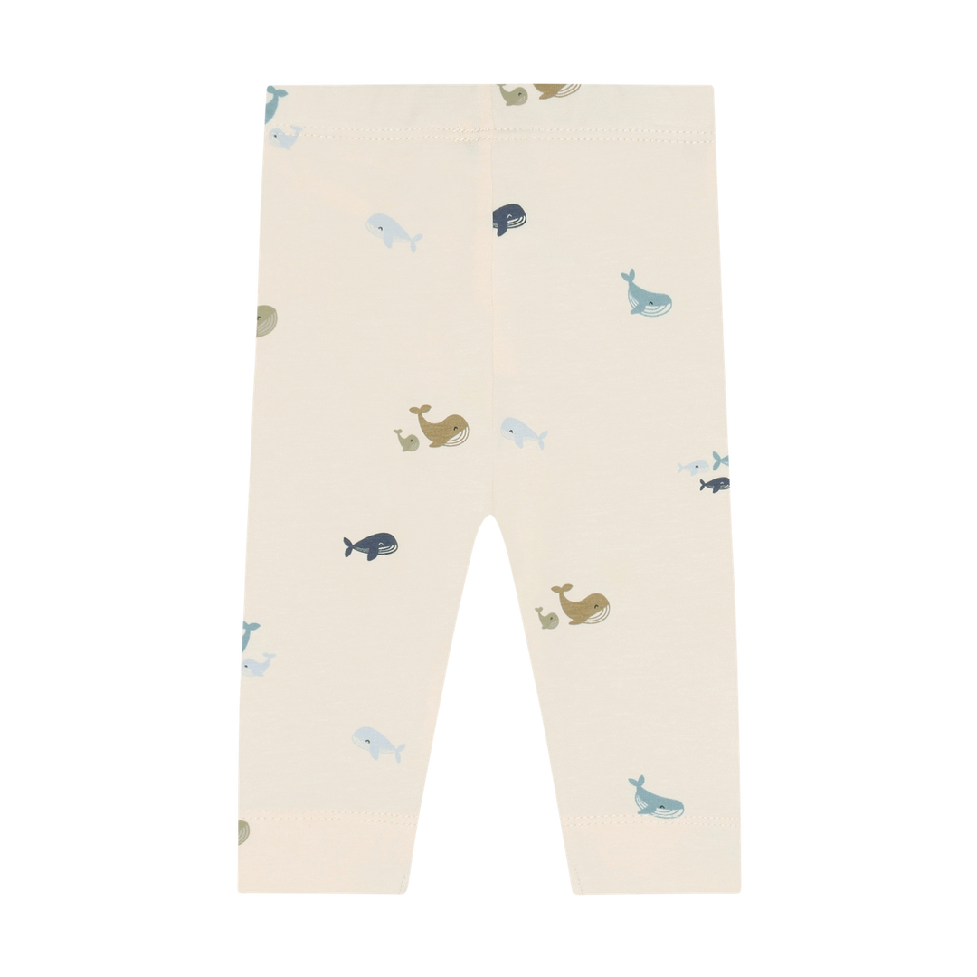 Fixoni Baby Boy Legging   423085-7111