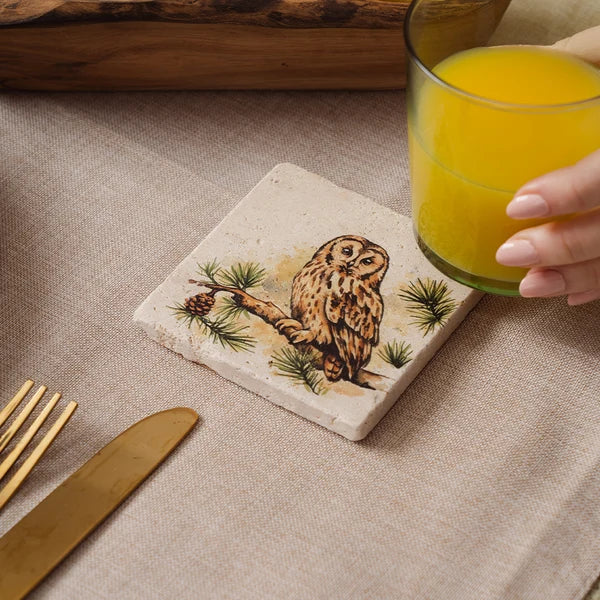 Selbrae House Stone Coaster  -  Tawny Owl