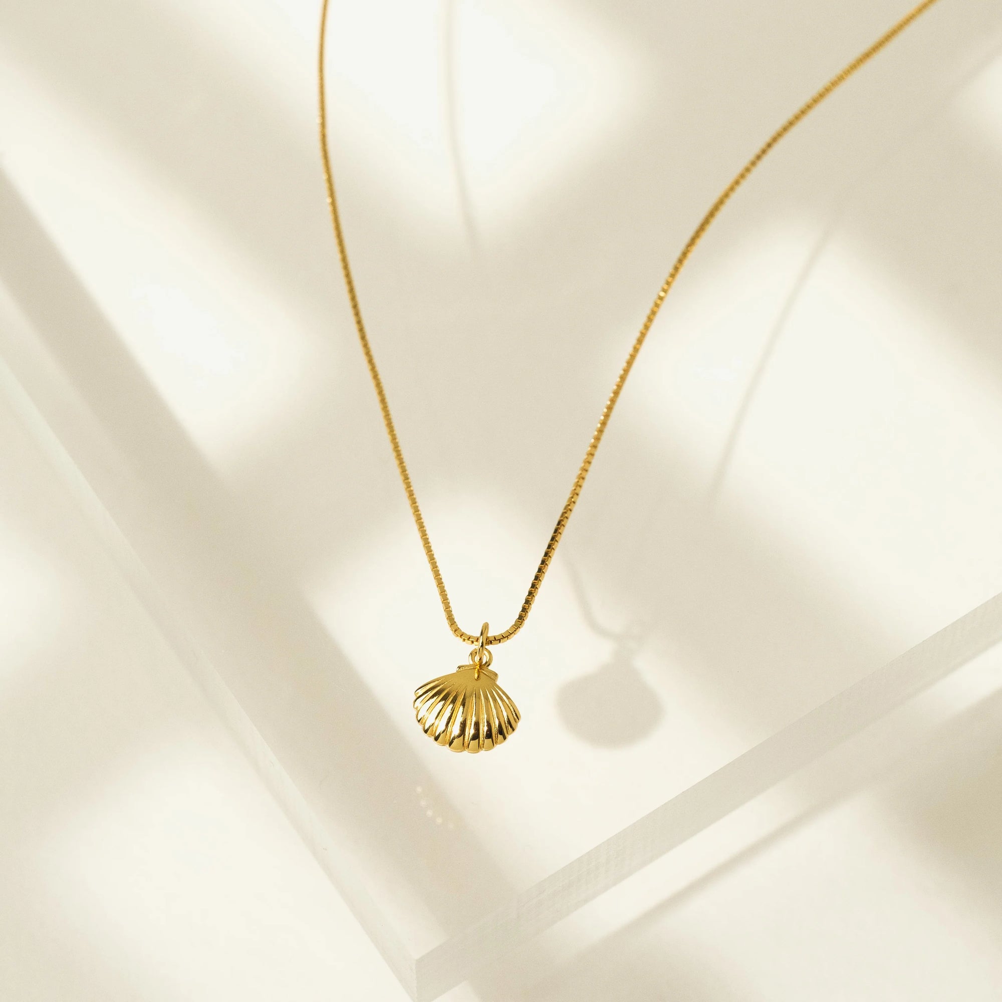 Lovers Tempo Demi -Fine Shell Charm Necklace Gold