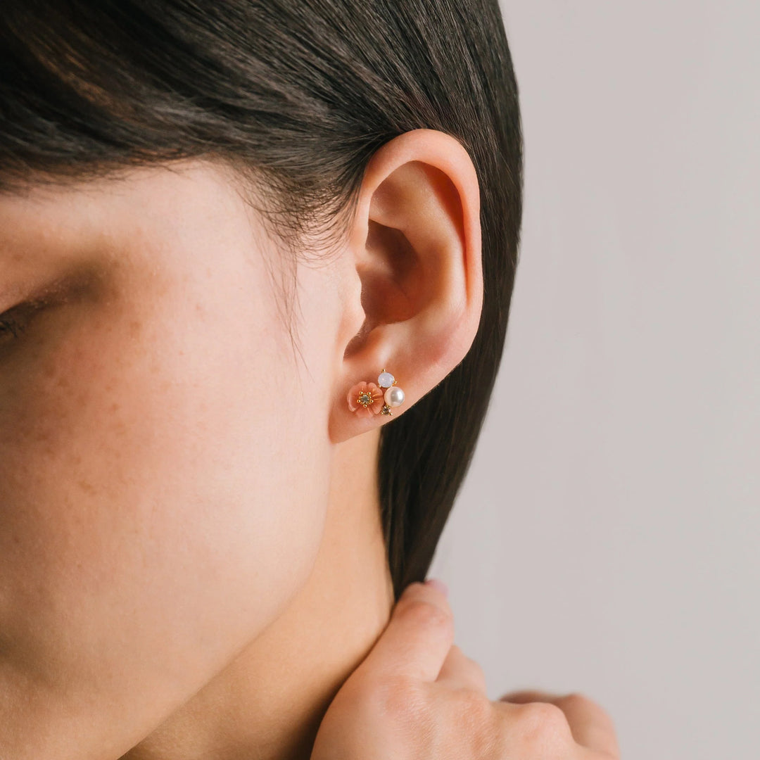 Lover's Tempo Sweetpea Stud