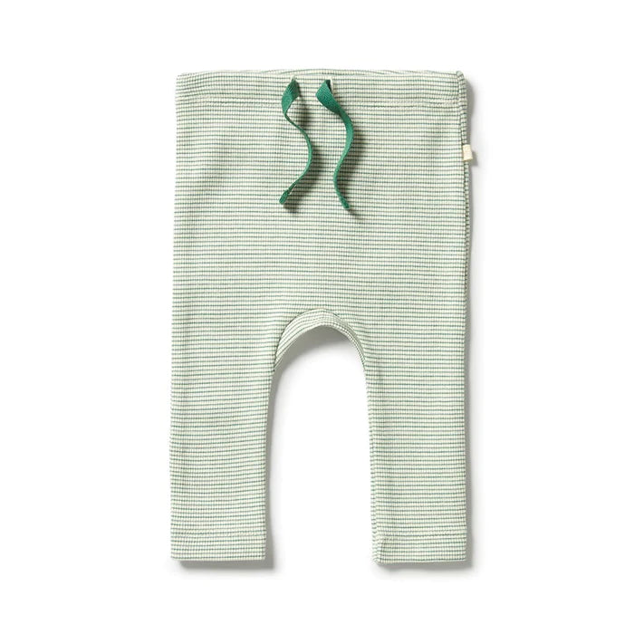 Wilson & Frenchy Baby Rib Legging  WF2304  Deep Sea *