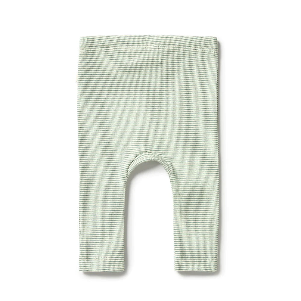 Wilson & Frenchy Baby Rib Legging  WF2304  Deep Sea *