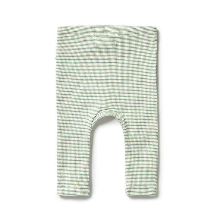 Wilson & Frenchy Baby Rib Legging  WF2304  Deep Sea *