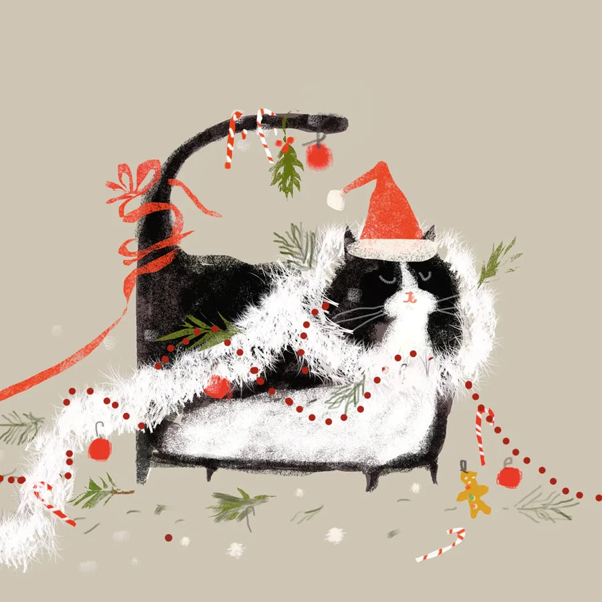 Christmas Card  XJS2052  Merry Mess
