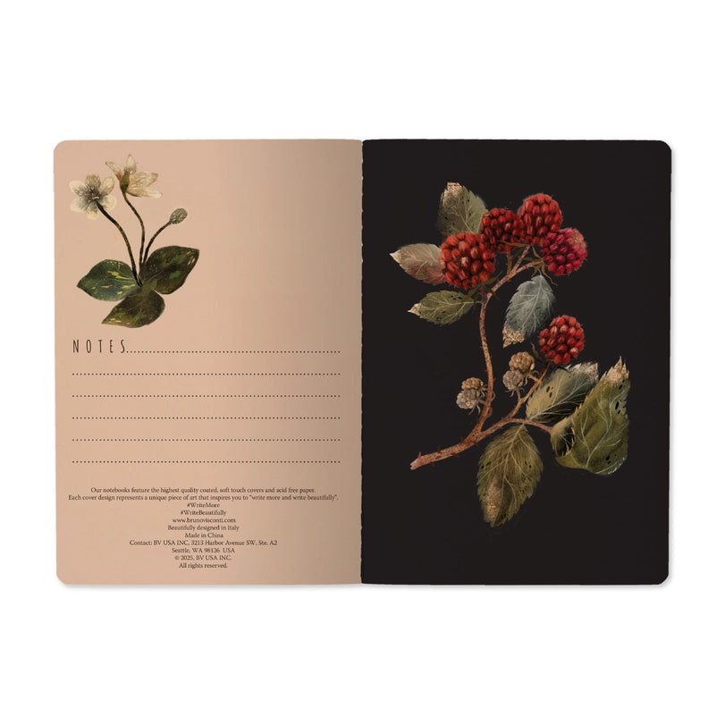 Bruno Visconti Notebook - Forest Sparrows 505/75