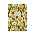 Bruno Visconti Notebook - Lemons 505/82