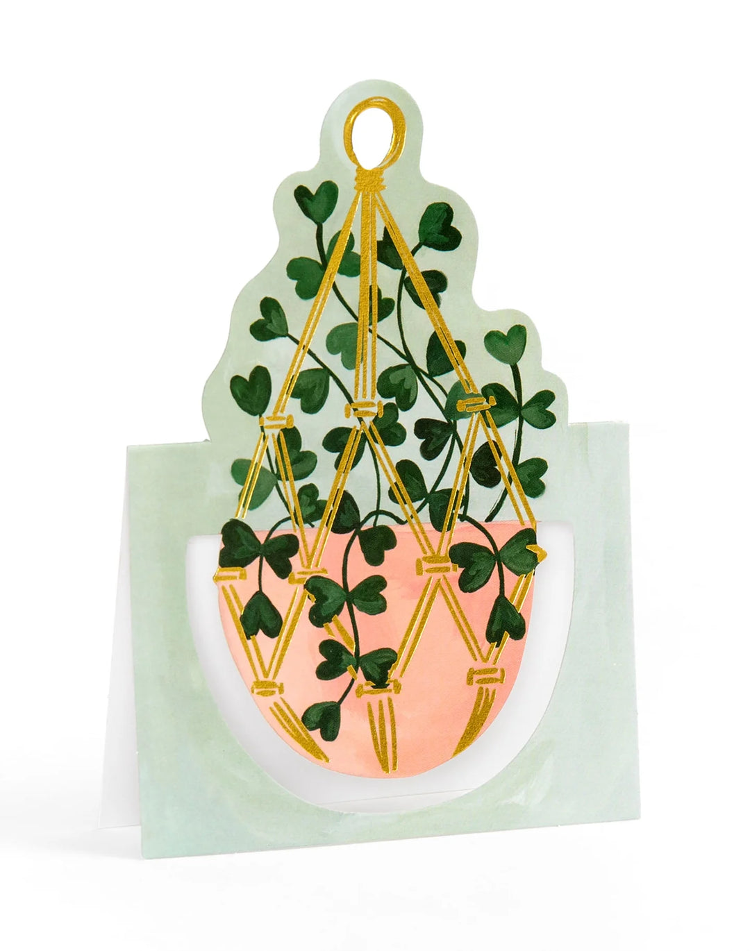 1Canoe2 Potted Plants Pop-Up Greeting Card Box Set