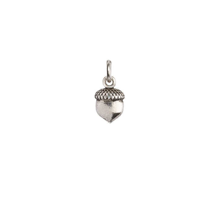 Pyrrha Acorn Symbol Charm
