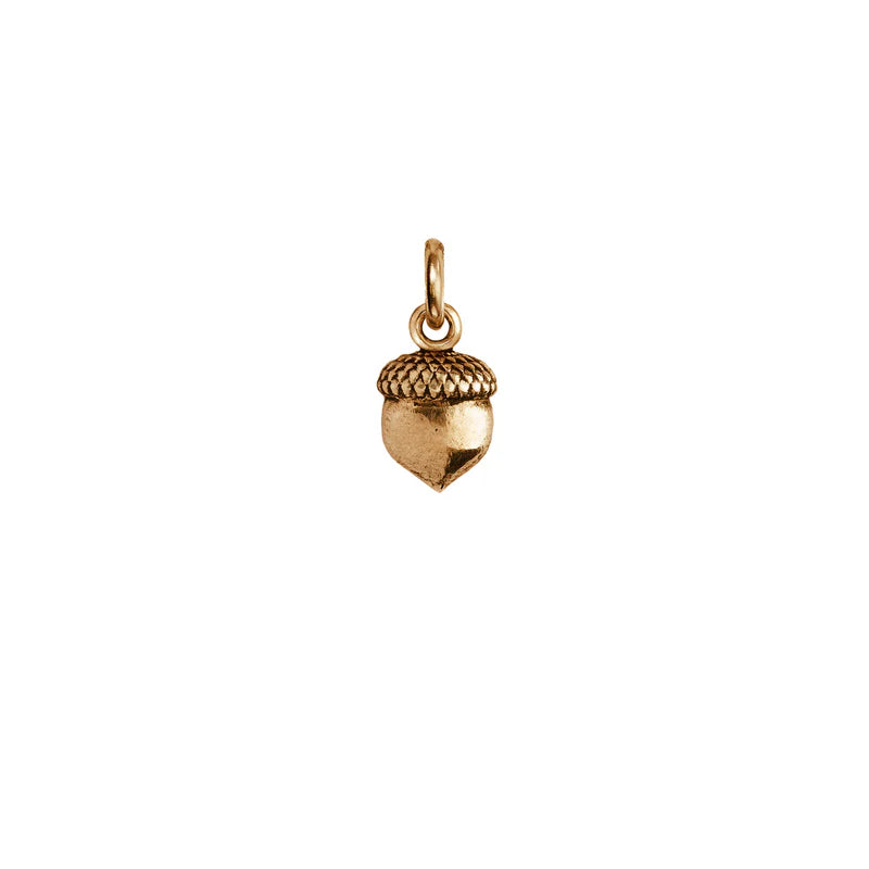 Pyrrha Acorn Symbol Charm   BCH4004-X   Bronze