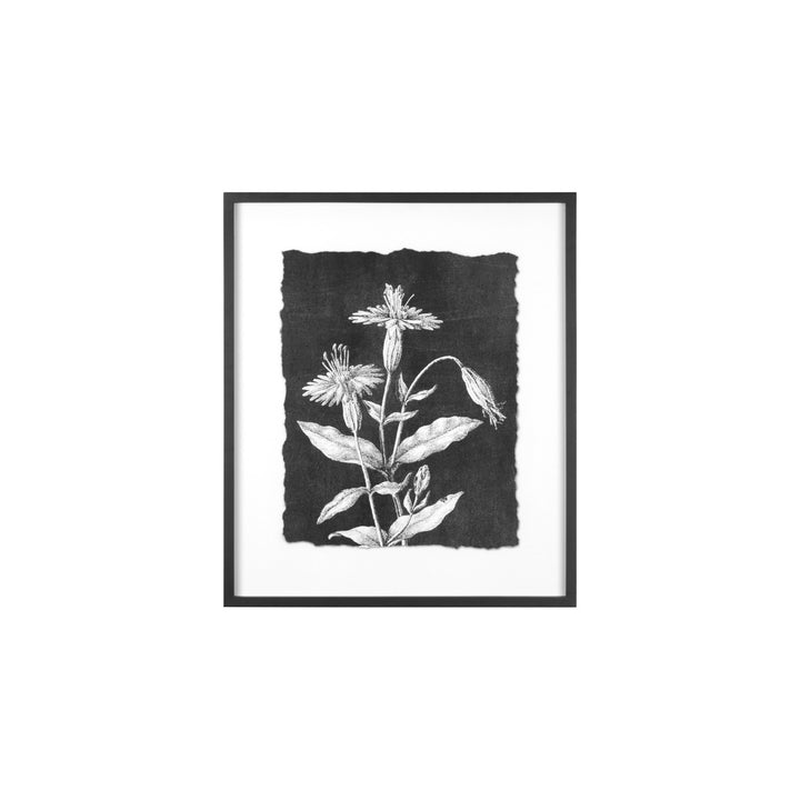 Creative Co-Op Wood Framed Botanical Pring  AH0274A