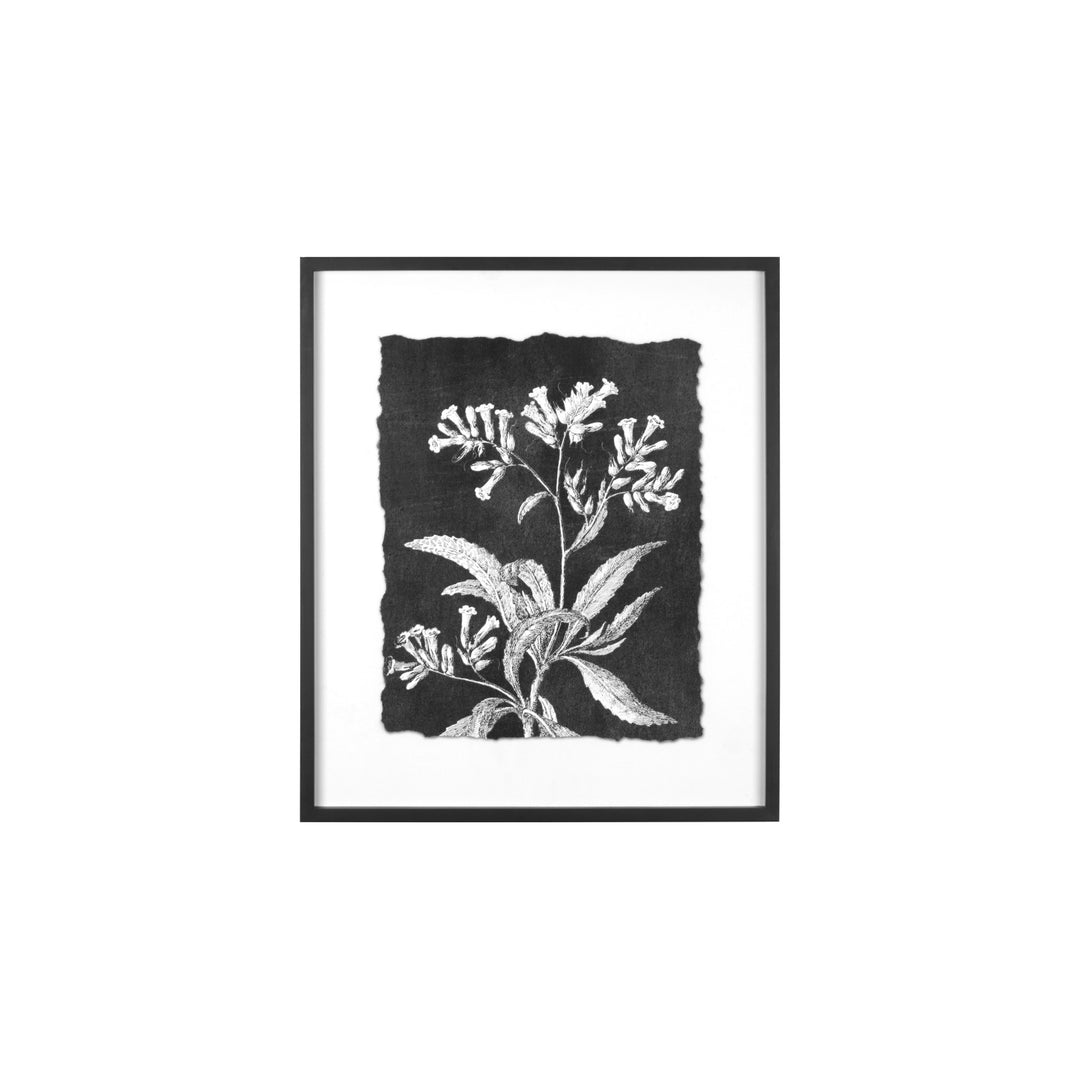 Creative Co-Op Wood Framed Botanical Pring  AH0274A