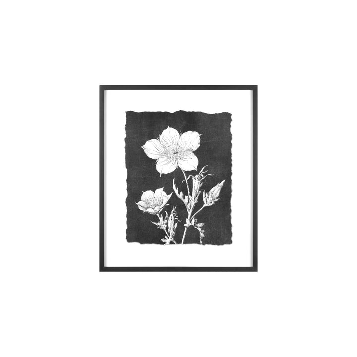 Creative Co-Op Wood Framed Botanical Pring  AH0274A