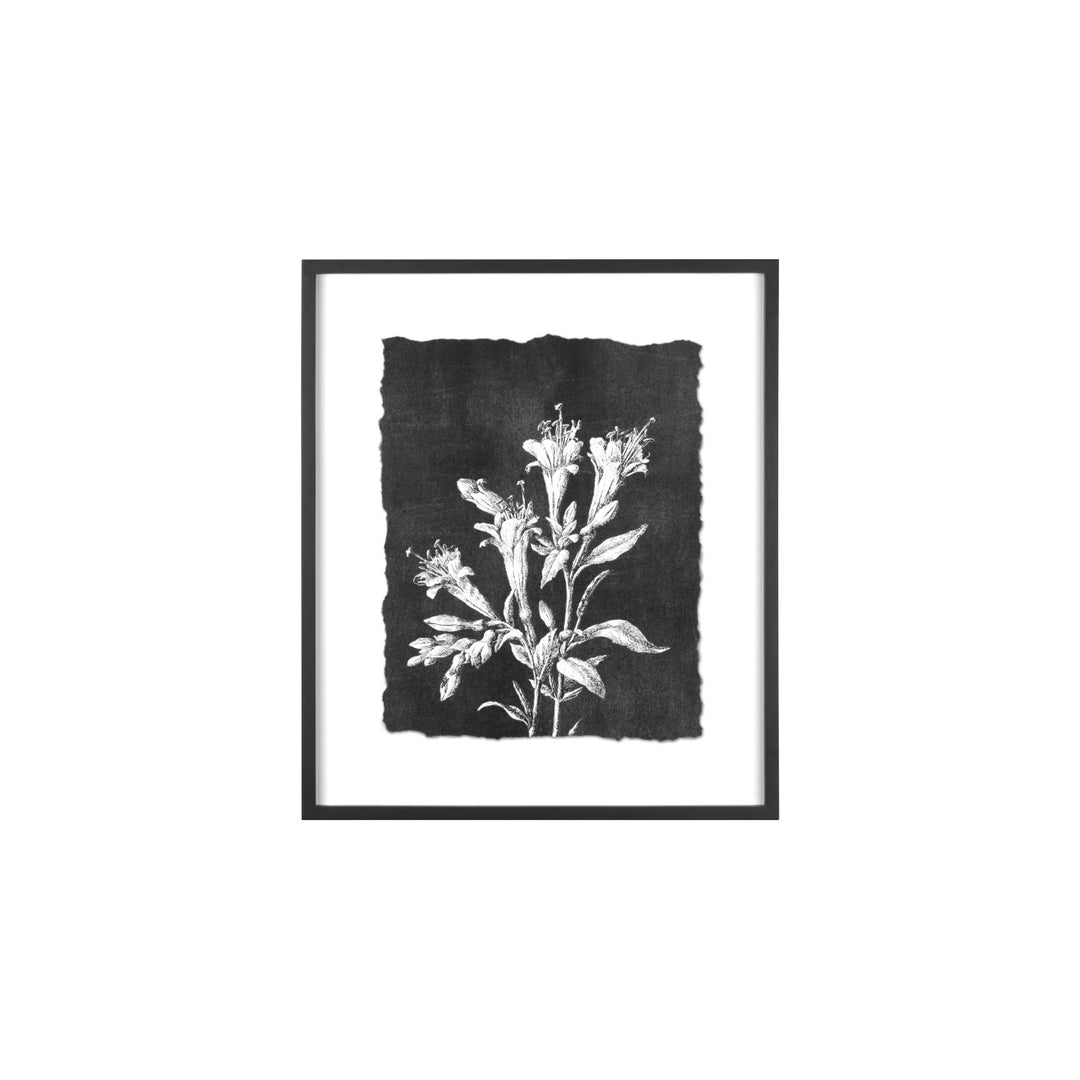 Creative Co-Op Wood Framed Botanical Pring  AH0274A