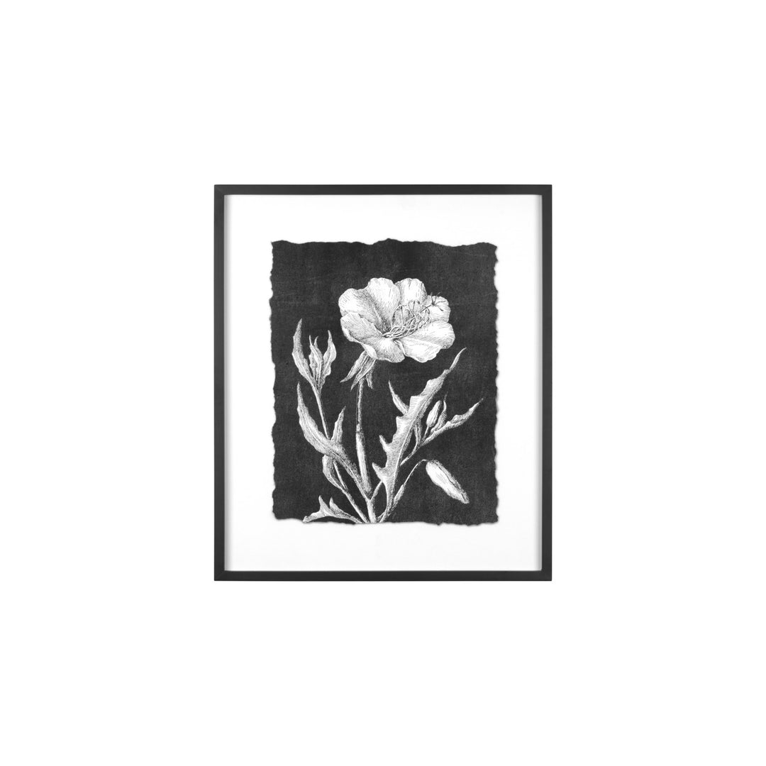 Creative Co-Op Wood Framed Botanical Pring  AH0274A
