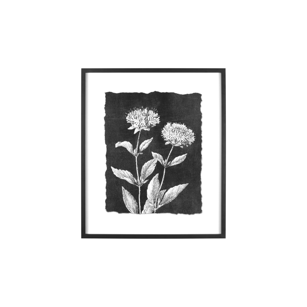 Creative Co-Op Wood Framed Botanical Pring  AH0274A