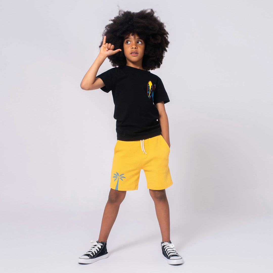 Appaman Boys Short Sleeve Graphic Tee   F1T7-BL   Black