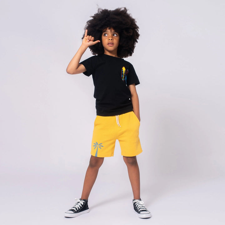 Appaman Boys Short Sleeve Graphic Tee   F1T7-BL   Black