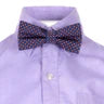 Appaman Standard Dress Shirt   8STA  Lavender