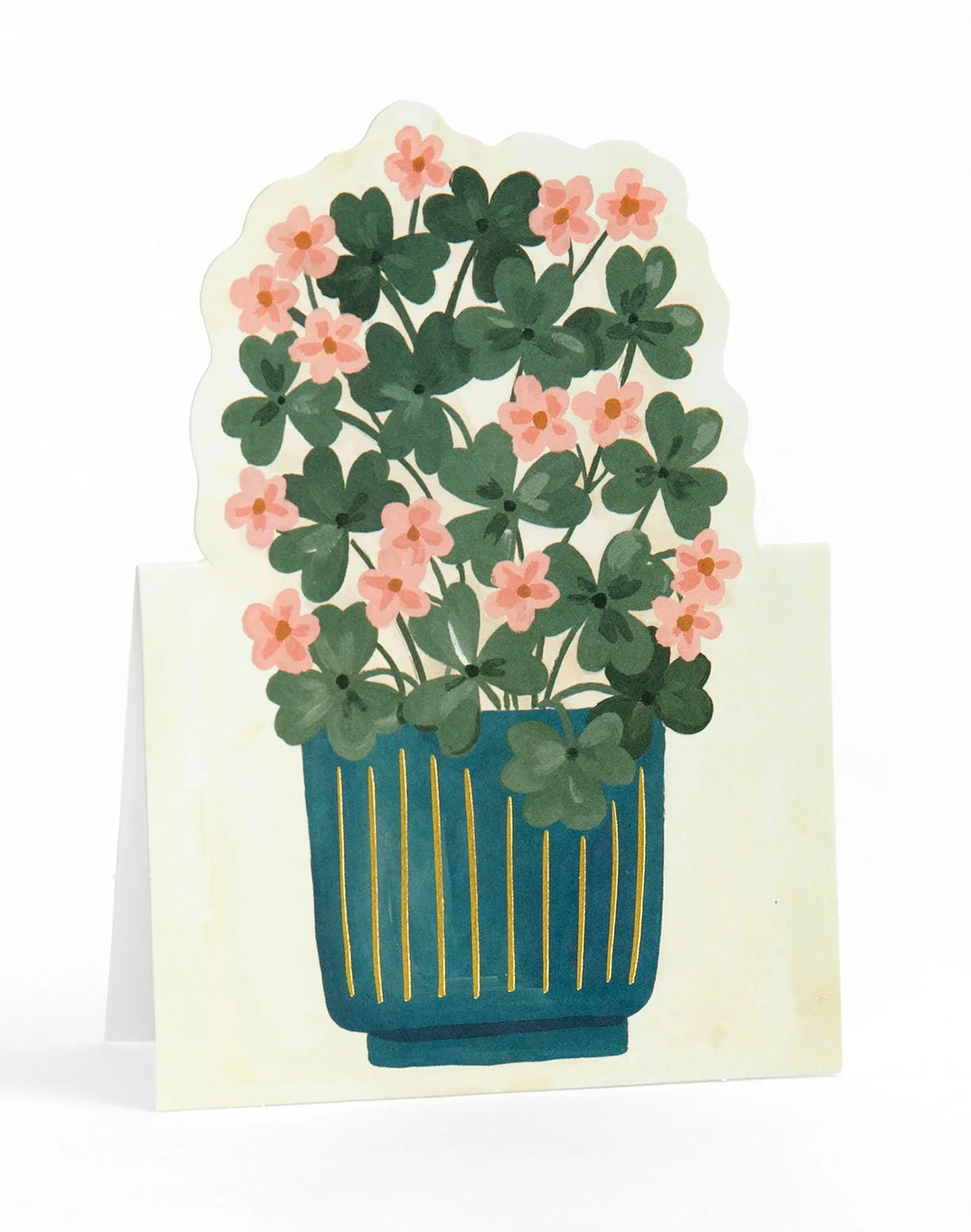 1Canoe2 Potted Plants Pop-Up Greeting Card Box Set