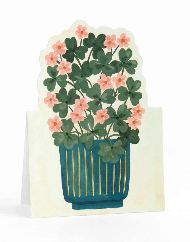 1Canoe2 Potted Plants Pop-Up Greeting Card Box Set