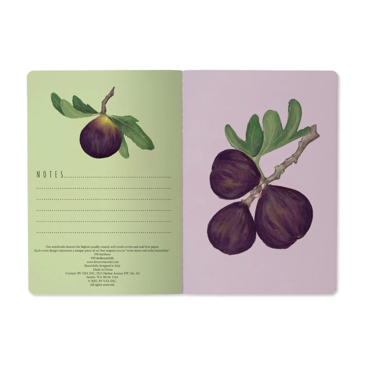Bruno Visconti Notebook - Figs on White 505/91