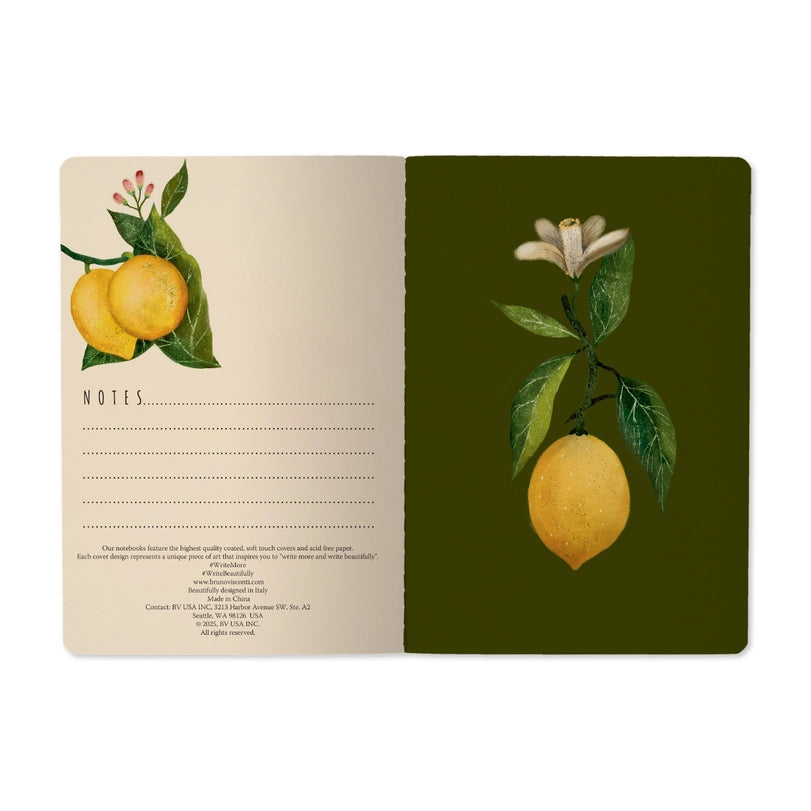 Bruno Visconti Notebook - Lemons 505/82