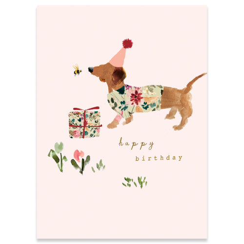 Calypso Birthday Card  CC2175  Meadow Dog