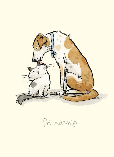 Two Bad Mice Card  M371  Friendship