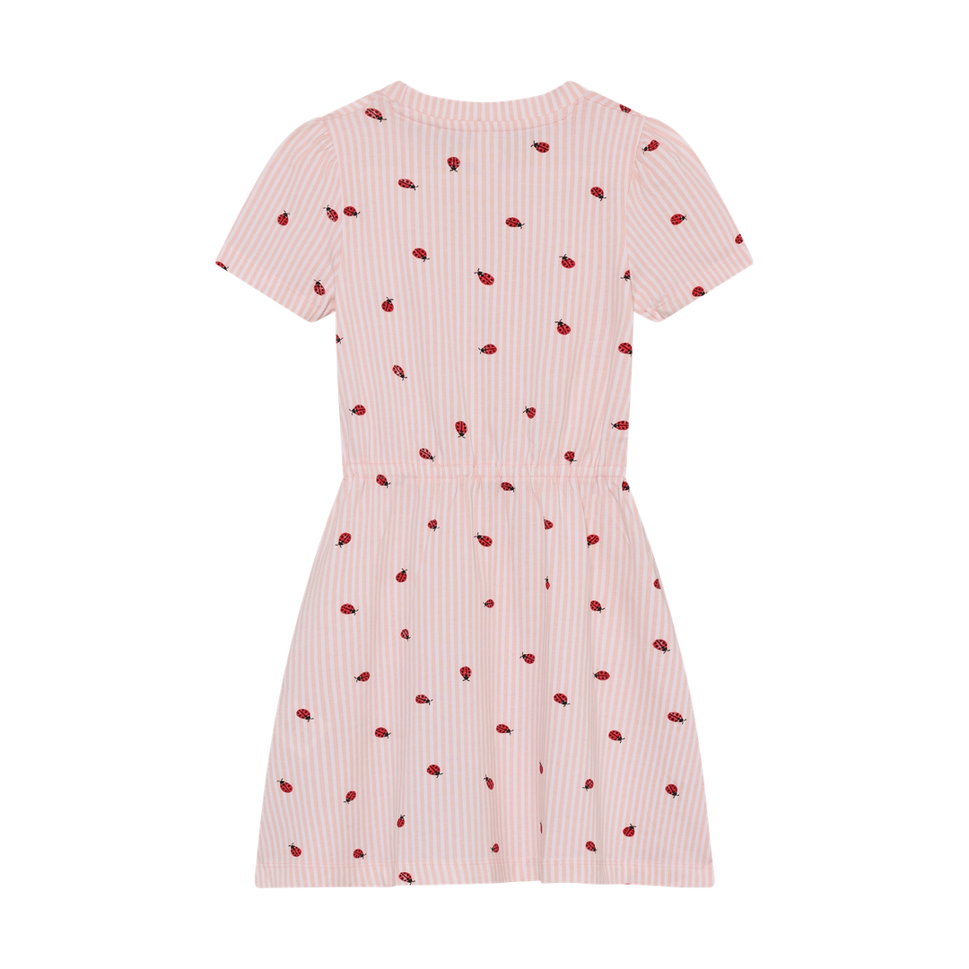 Minymo Girls Ladybug Print Dress   124382-5003