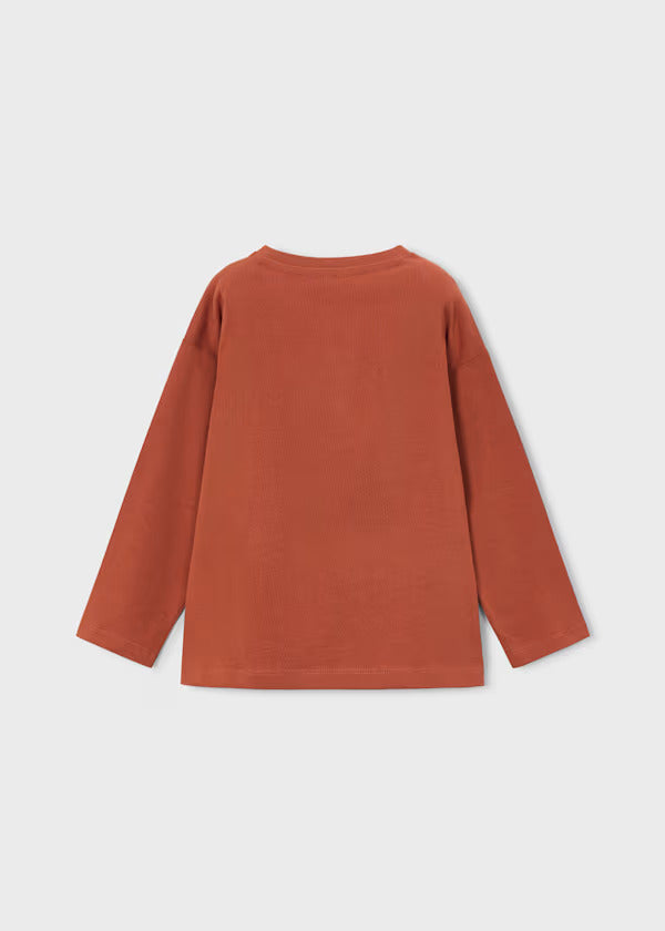 Mayoral Boys Long Sleeve Tees Set of 2   4019-54   Teja