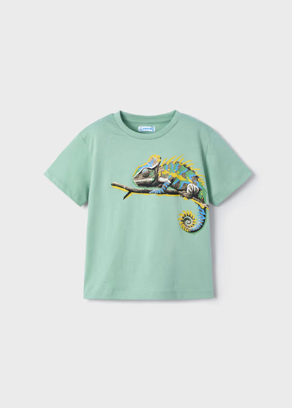 Mayoral Boys Short Sleeve Tee   3045-92   Laurel