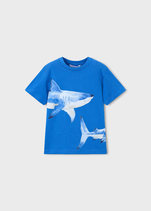 Mayoral Boys Short Sleeve Tee   3080-93   Azul