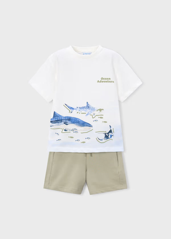 Mayoral Boys Two Piece Short Set   3610-63   Bambu