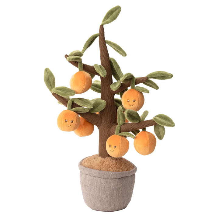 Bukowski Orange Tree  23160