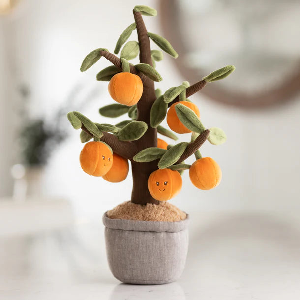 Bukowski Orange Tree  23160