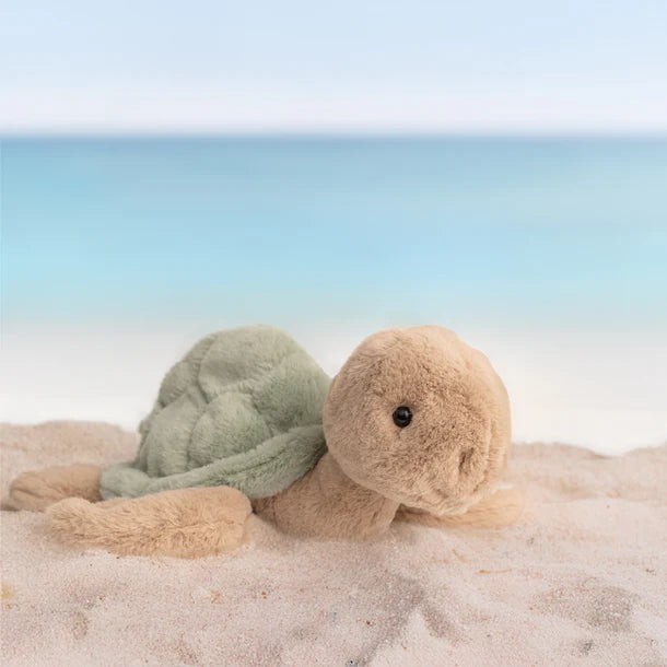 Bukowski Sandy Sea Turtle